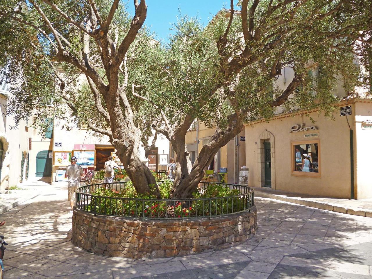 Apartment Eden Parc-4 By Interhome Saint-Tropez Luaran gambar